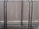 Ornamental Wrought Iron Sacramento