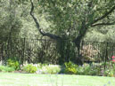 Residential Fence Sacramento