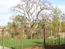 Residential Fence Sacramento